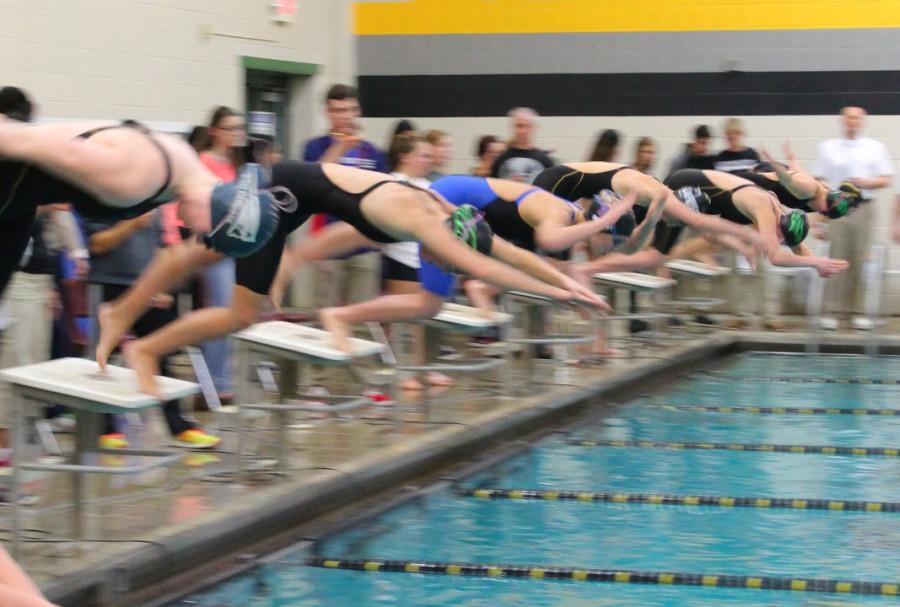 Swimmers dive off their blocks for the 50-yard-freestyle.