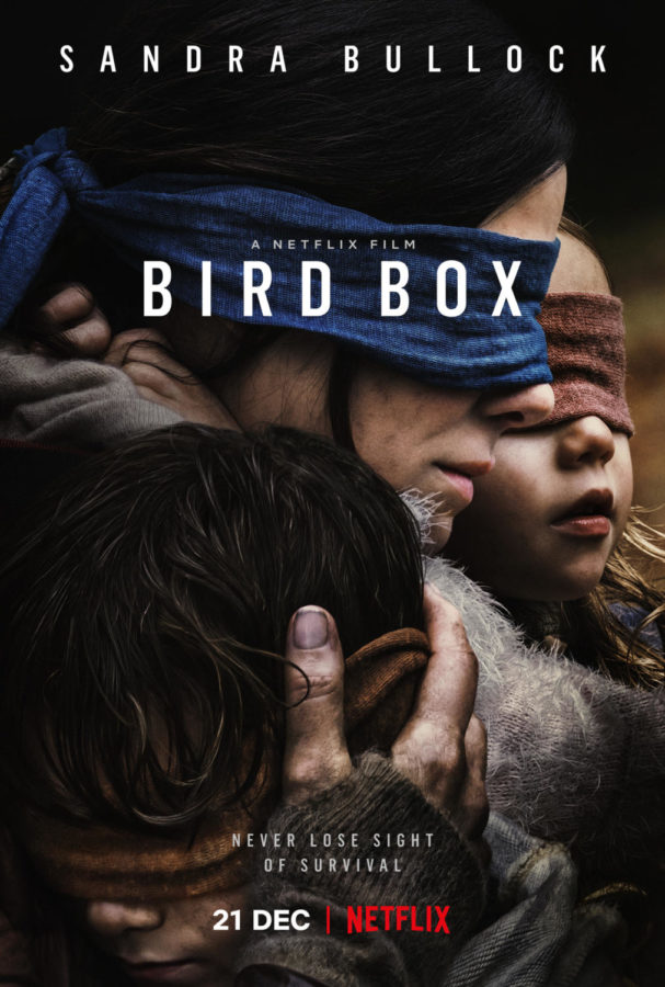 Movie Review: Birdbox