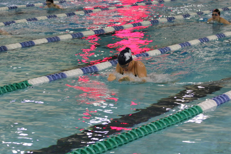 Abigail Nebot, senior, swims a 100-meter breast in her last swim meet of the year. Girls swim and dive will compete on Feb. 14 and Feb. 15 at the St. Peters Rec-Plex. MHS will battle for a championship title against about 40 other teams. 
