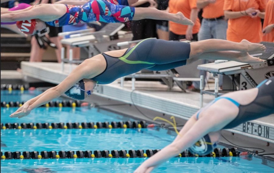 Taryn Zweifel, Senior, dives into the water at the COMO meet at the Mizzou rec center. Zweifel would medal second in the 200 girls medley, the best finish at the meet.