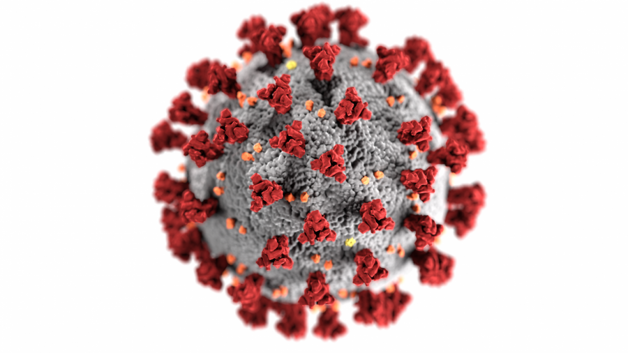 This illustration, created at the Centers for Disease Control and Prevention (CDC), reveals ultrastructural morphology exhibited by coronaviruses. The coronavirus outbreak was declared a pandemic by the World Health Organization (WHO) March 11. Coronavirus cases are now confirmed in all 50 U.S. states and D.C., as reported by the Washington Post. The death toll in the United States from coronavirus now exceeds 100, and there are more than 6,200 confirmed cases in the U.S., according to the John Hopkins University data dashboard.