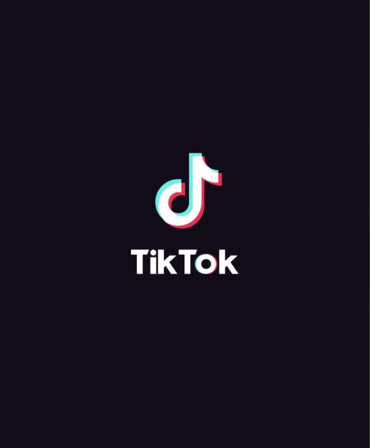 TikTok+is+a+social+networking+app+that+includes+short-form+videos+with+over+500+million+users.+