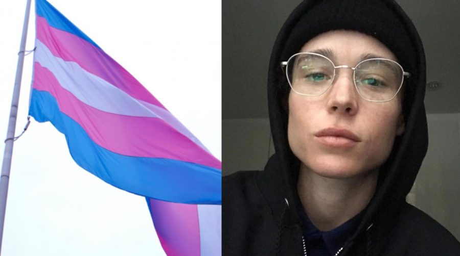 Elliot Page, Oscar-nominated Canadian actor, came out as a transmasculine person earlier this month stating that they use he/him and they/them pronouns. Page has already been a powerful force among LGBTQ+ celebrity voices and was previously one of the most famous lesbian actresses in Hollywood history. 