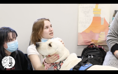 MHSNews | MHS Therapy Dog Helps Students and Staff