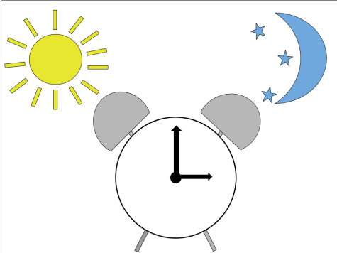 The Sunshine Protection Act, approved by the Senate, will permanently keep our clocks one hour ahead and end the bi-annual clock switch of Daylight Saving Time. The Act still needs approval from the House of Representatives and President Biden. 