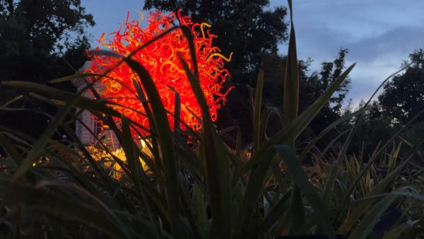 Dale Chihuly’s art glass has become an iconic part of the Missouri Botanical Garden since 2001. For a limited time, 20 additional pieces of art glass are showcased throughout the garden. See the Missouri Botanical Garden website for more details.