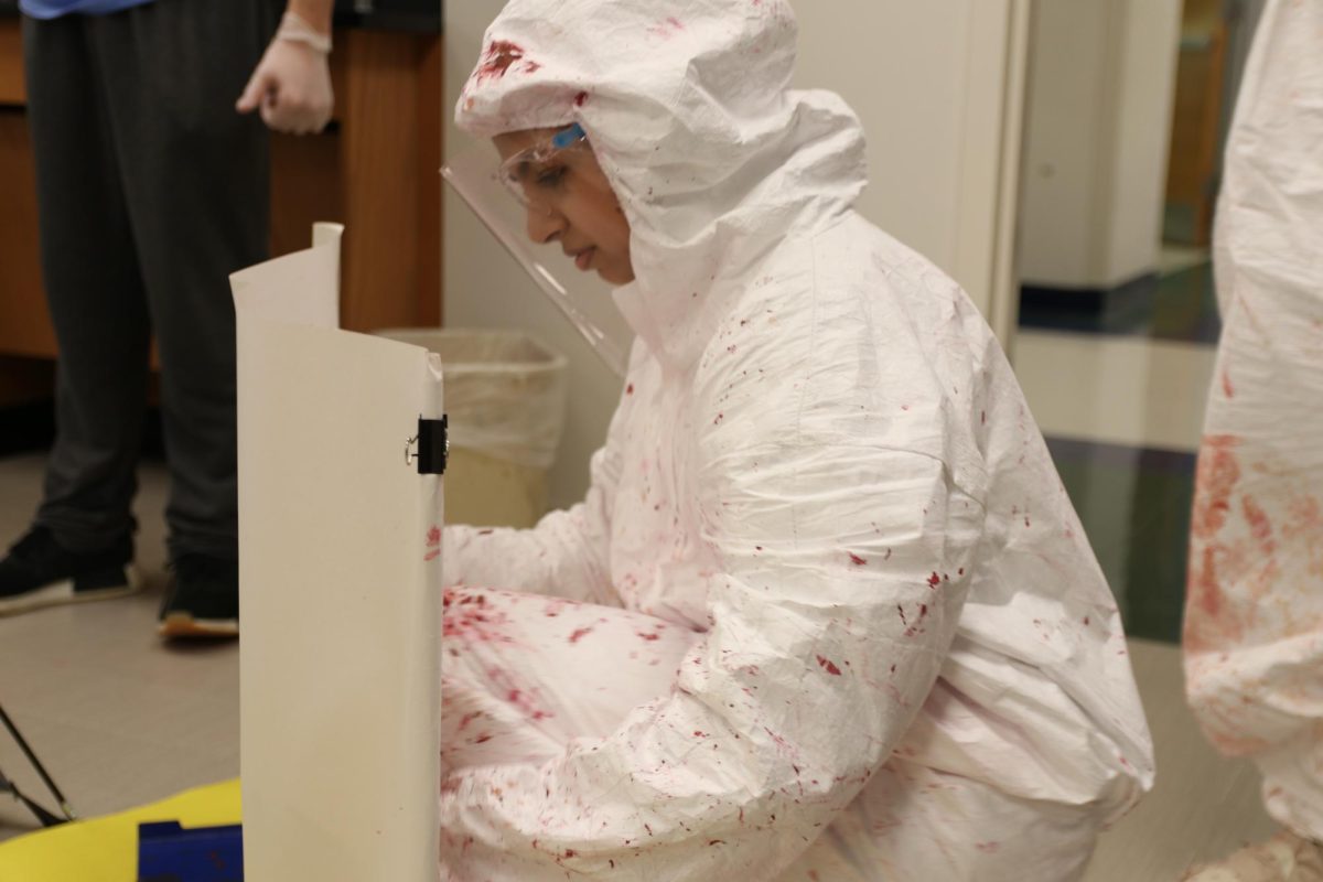 Iman Mohamed, senior, studies the blood splatter that she created while smashing a fake blood-soaked sponge with a hammer during her fifth hour Forensics class.