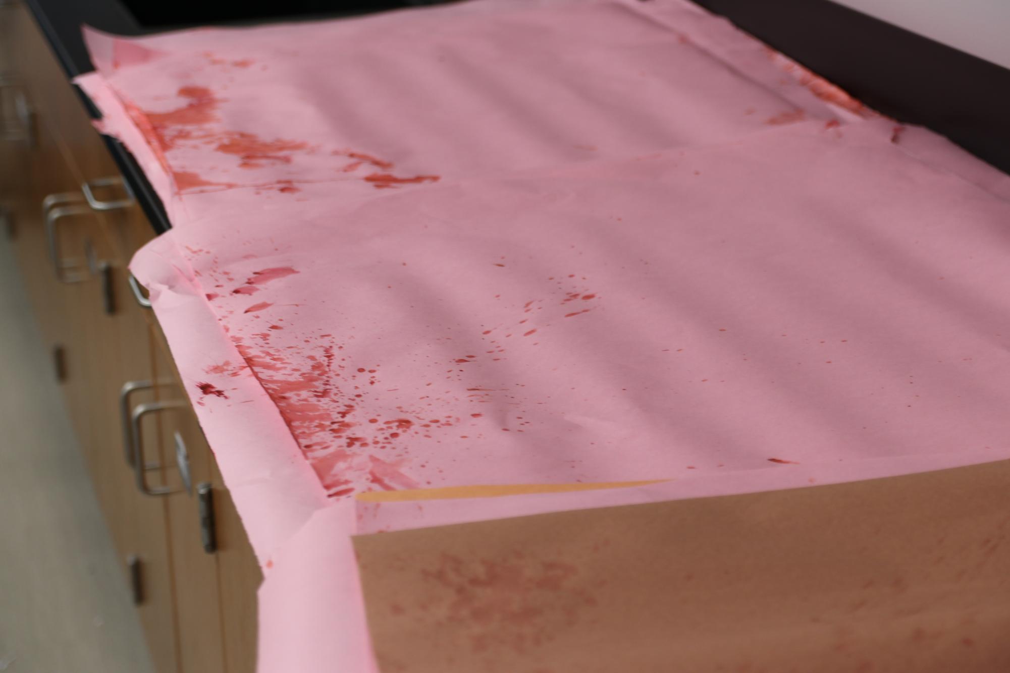Forensic+Students+Investigate+Blood+Splatters
