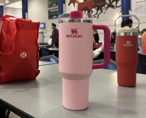 Stanley drinkware sensation offers a vivid example of the power of social  media