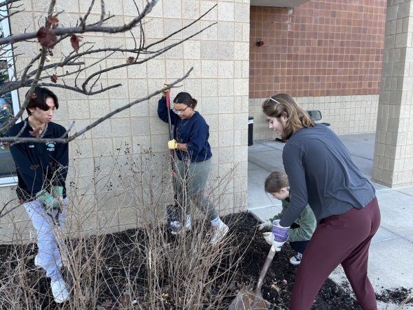 Juniors Kevyn Wang, Lillian Jean-Baptiste, Sierra Bunch, and Emiline Little work together on Tuesday, Feb. 13, to clear landscaping beds in preparation for spring. 