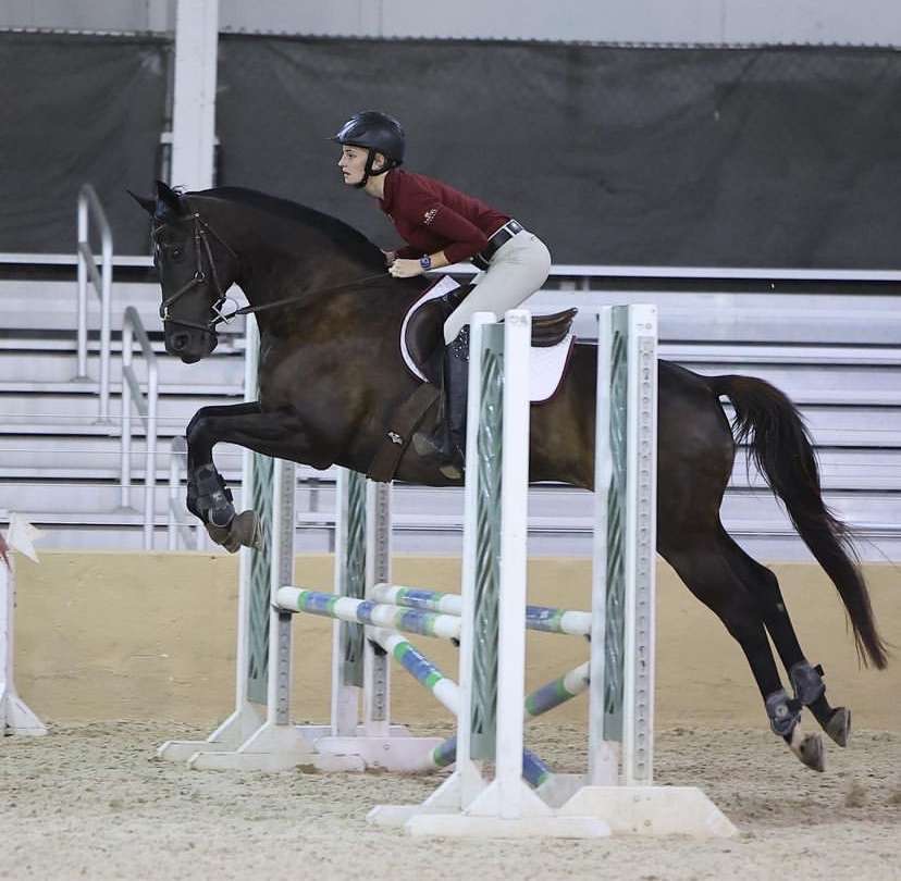 Senior Eisele Chiarelli and her horse, Cap, perform at a competition. It costs Chiarelli $500 per competition, and she competes twice a month. 