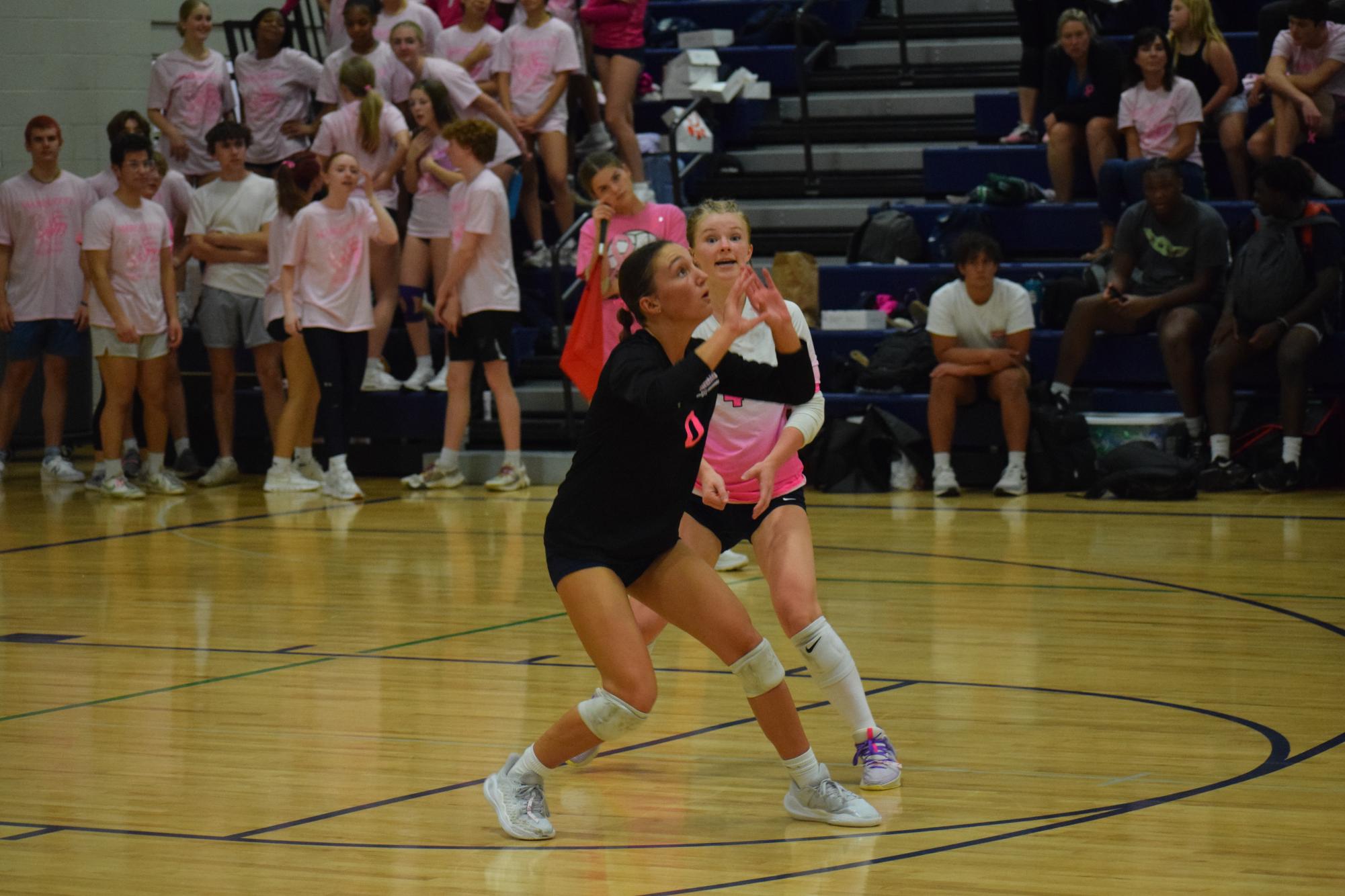 Junior Breaks Girls Volleyball Blocking Record