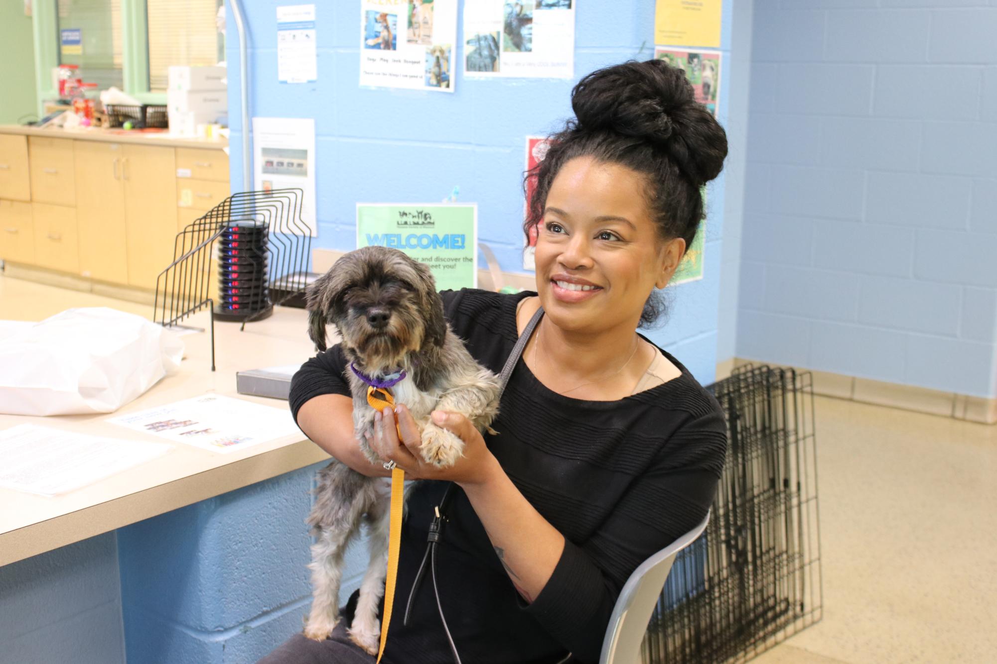 Humane Society Rescued Dogs Now Up For Adoption