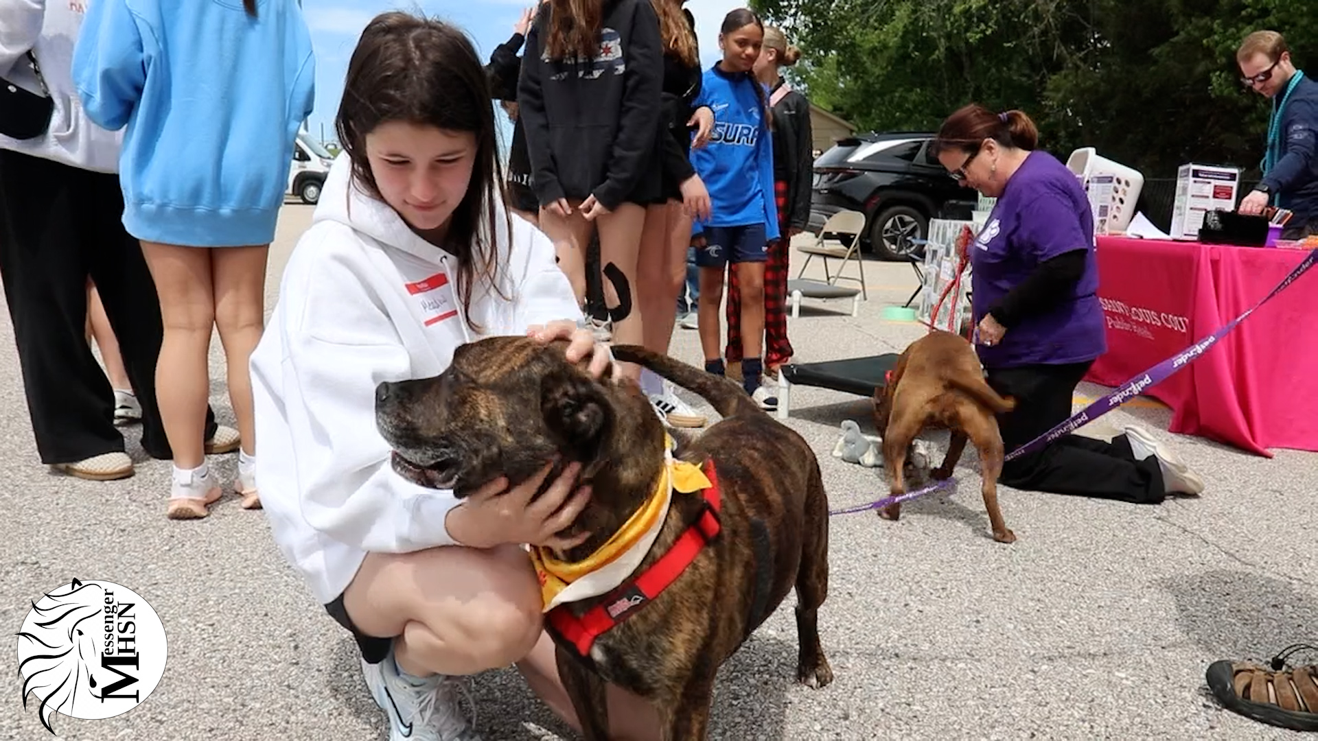 Rockwood South Middle School hosted it's third annual Paws in Need adoption event on Saturday, April 18. Local animal shelters were invited and brought dogs in order to encourage adoption. 

